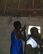 Mosquito Collections Selingue